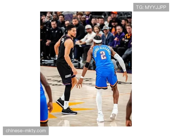 太阳主场2分险胜鹈鹕，布克关键跳投完成准绝杀锁定胜局